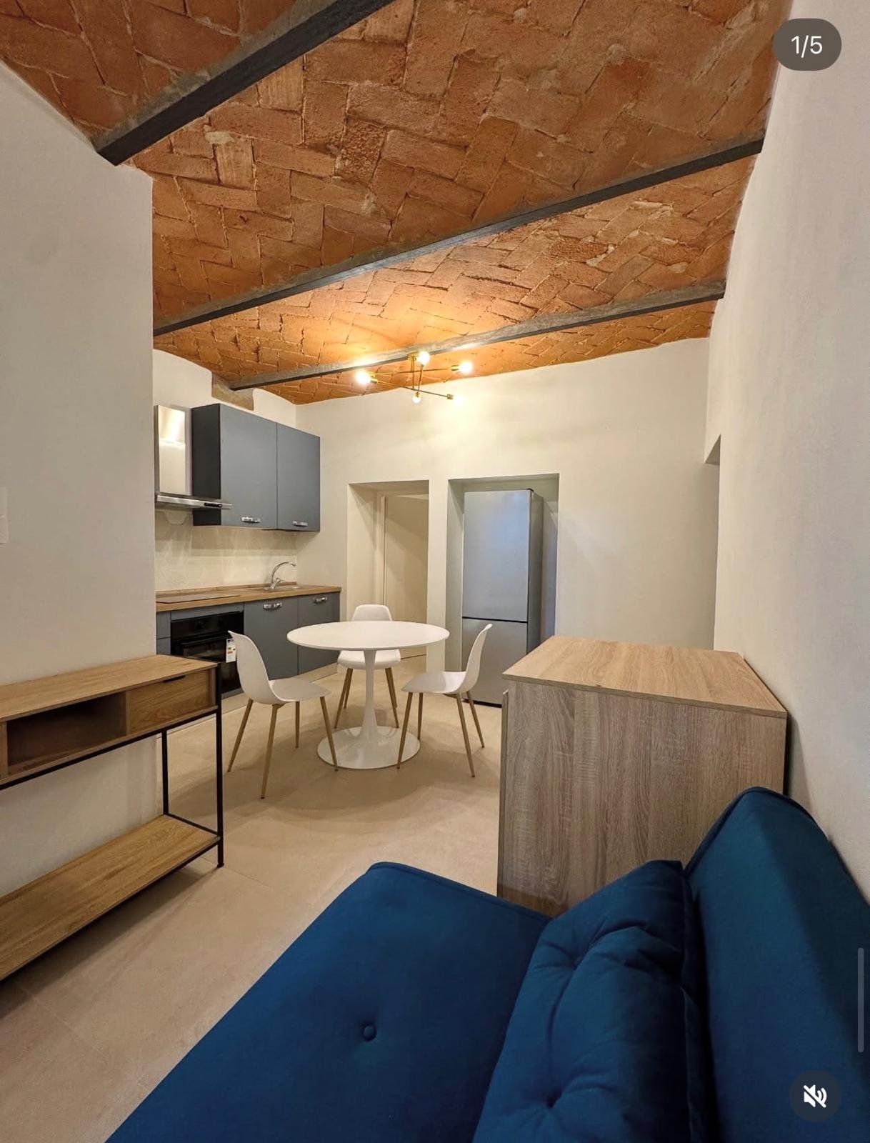 Loft con volta in laterizio